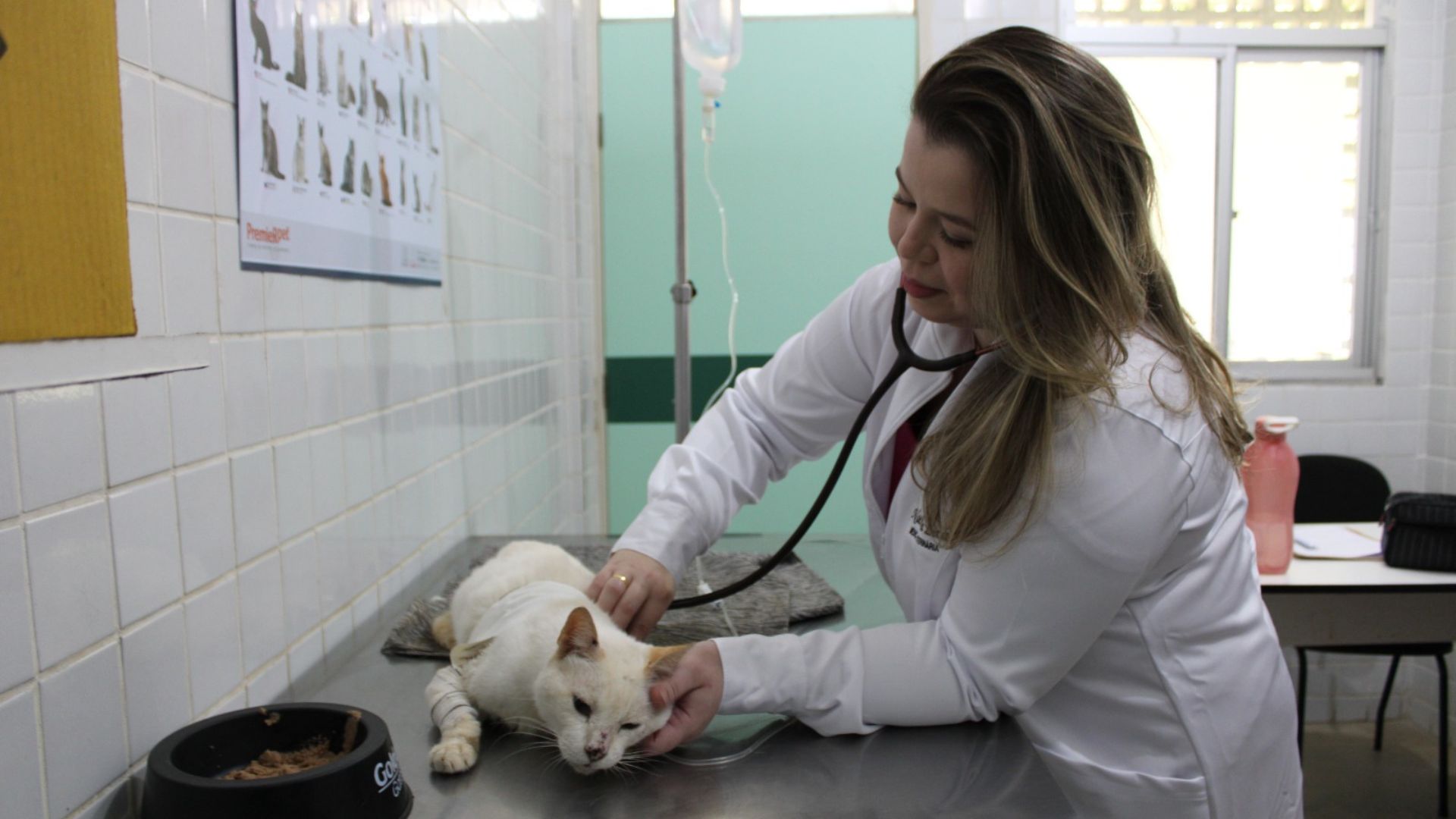 plantao-psicologico-na-ufpb-sera-retomado-na-proxima-quarta-15-2025-08-14t175925-102