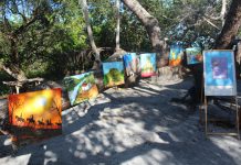 Anid e Governo da Paraíba realizam V Acampamento Inclusivo neste mês de maio