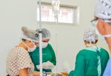 Prefeitura inicia cirurgias de castração de cães e gatos no Centro de Controle de Zoonozes