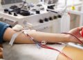 Prefeitura destaca importância da doação de sangue para fortalecer assistência à saúde e salvar vidas