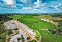 Produtores rurais de Conde ganham mais prazo para atualizar cadastro e declarar rebanho