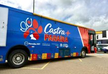 Paraíba Pet realiza castração gratuita de cães e gatos, na Capital